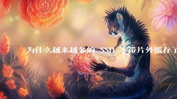 为什么越来越多的 SSD 不带片外缓存了？